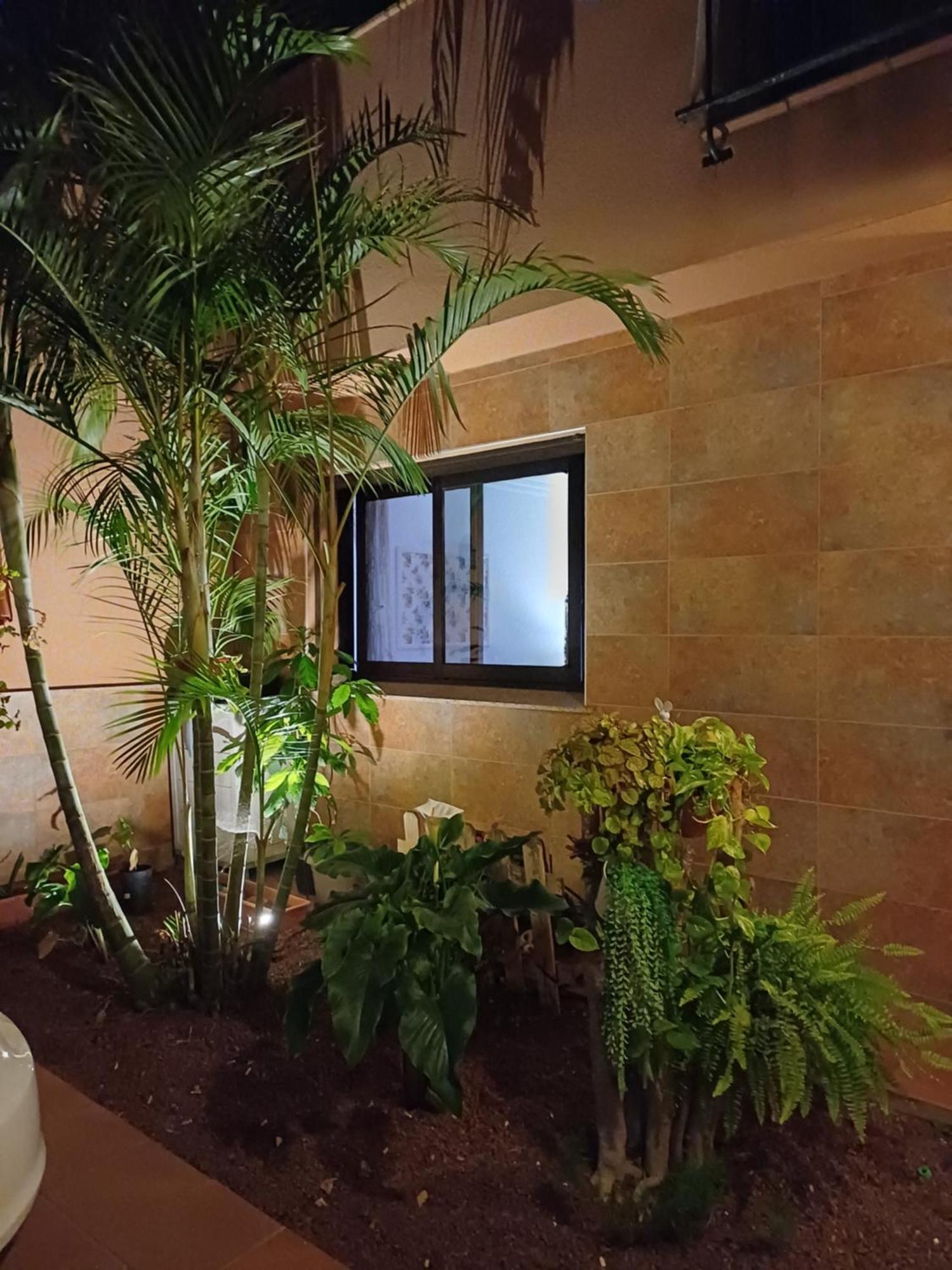 Viajeros Apartment La Laguna  Exterior photo